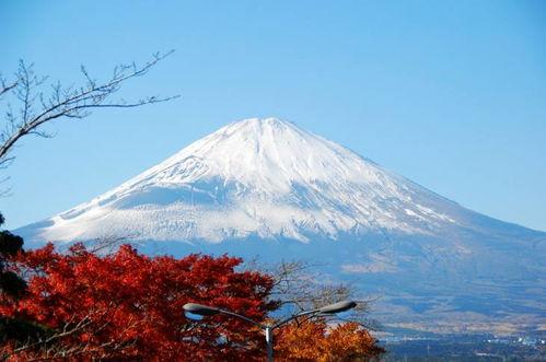 富士山爆料最新消息视频,揭秘神秘视频背后的惊人真相